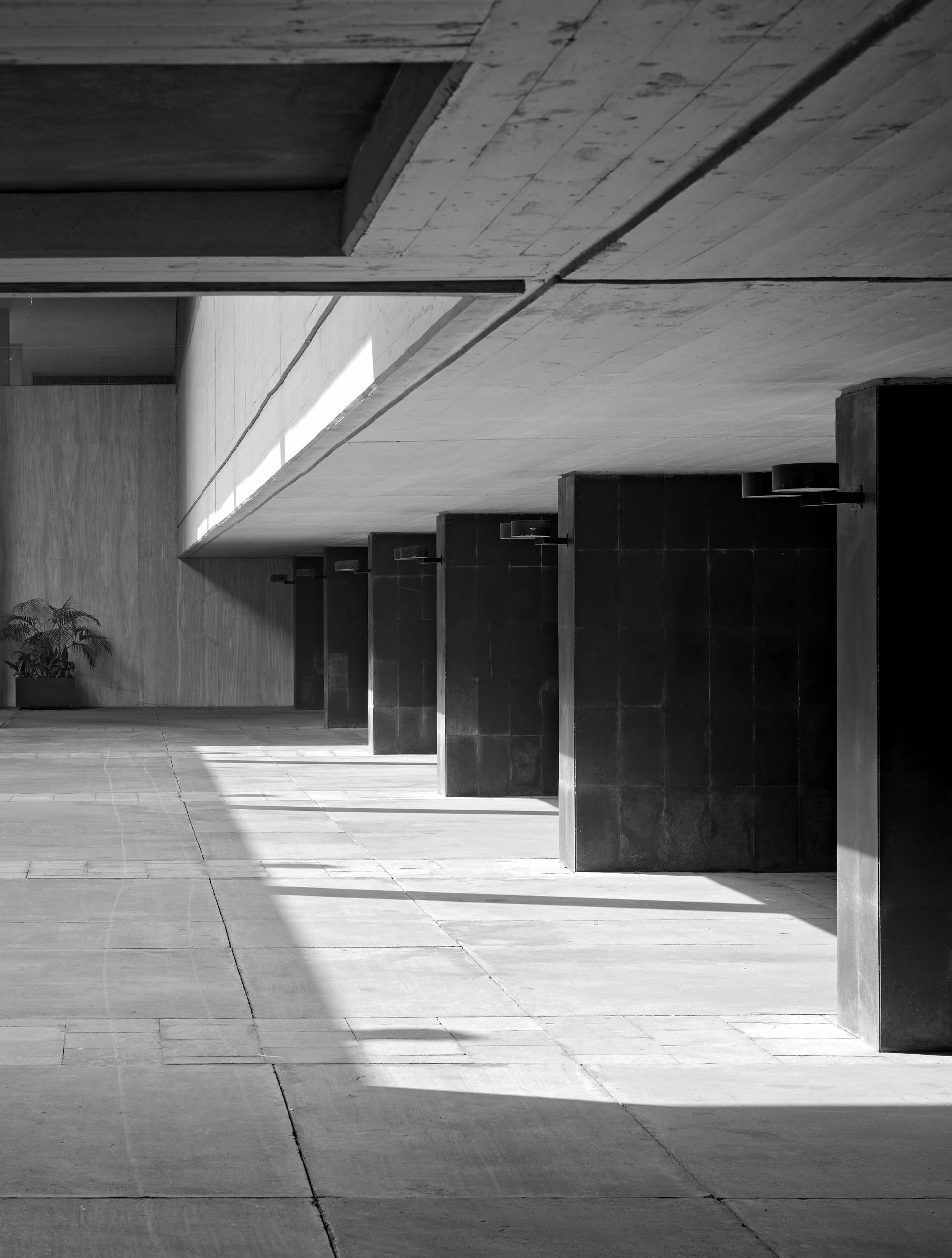 E13452 Alpa 040510 BW j2560